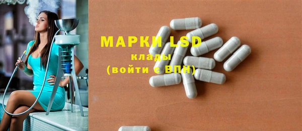 прущие грибы Алексин