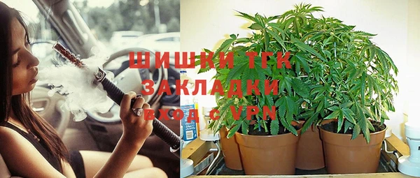 трава Аркадак