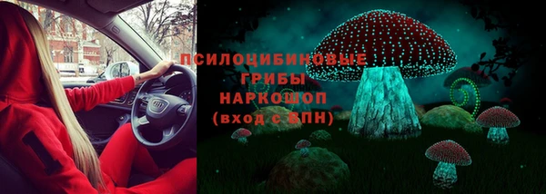 прущие грибы Алексин